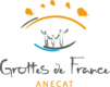 Logo ANECAT