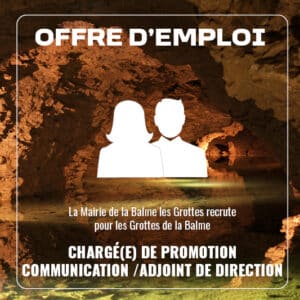 offre d'emploi chargée de communication