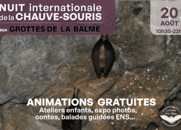 NICS2025_siteweb_banniere_1160x764px2
